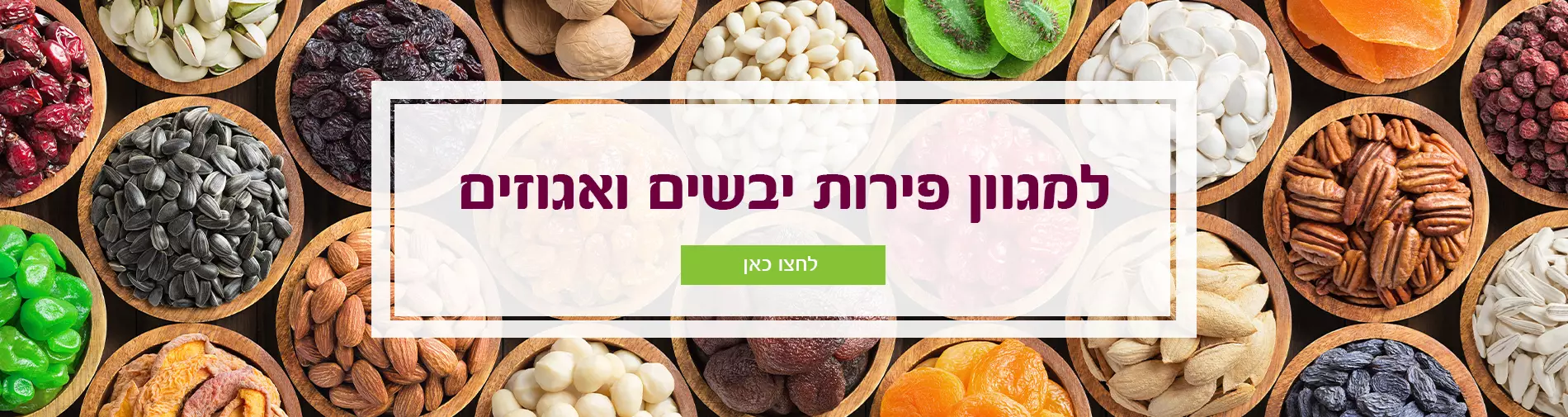 למגוון פירות יבשים ואגוזים