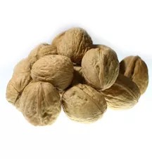 אגוז מלך טבעי עם קליפה 100 גרם    Natural Walnut in Shell כליל הטבע