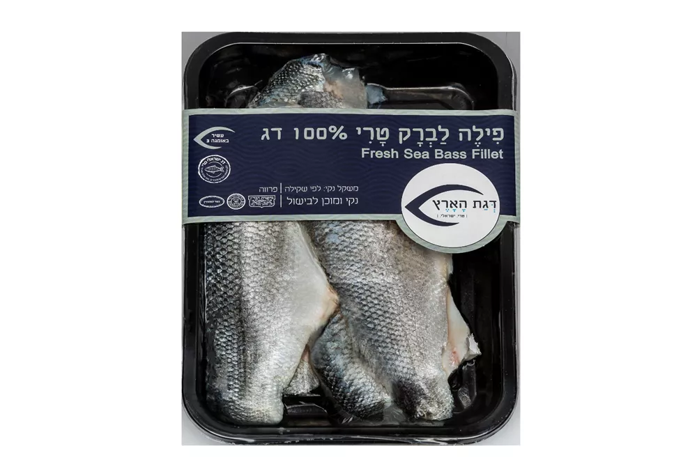 פילה לברק טרי – דגת הארץ
