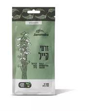 זרעי קייל להנבטה ללא ריסוס 100 גרם - JAMMOKA כליל הטבע