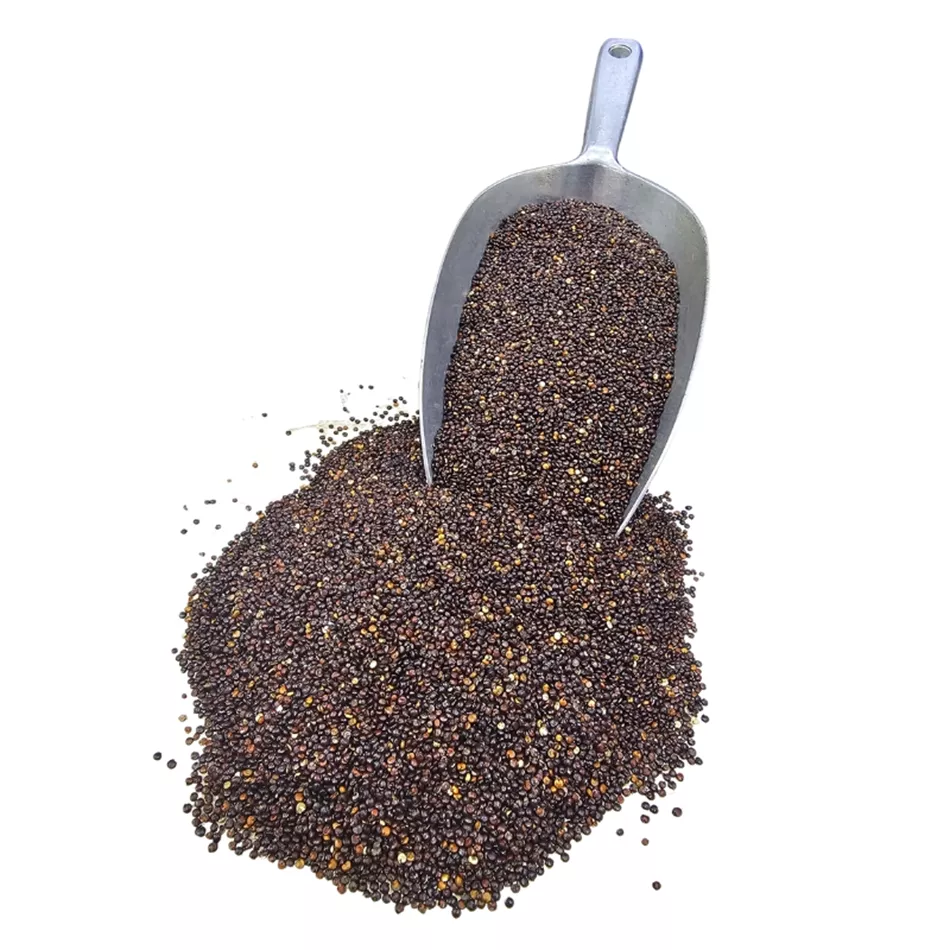 קינואה שחורה אורגנית בתפזורת