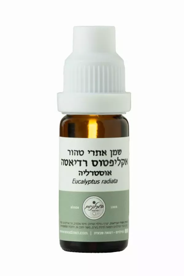 המילניום - שמן אתרי אקליפטוס רדיאטה טהור HAMILENIUM PURE