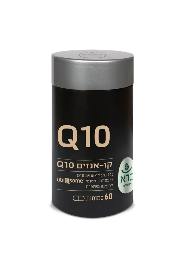 קו אנזים 100 מ