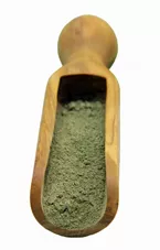 חינה שחורה תבליני בר כליל הטבע