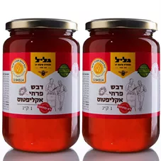 דבש פרחי אקליפטוס גליל זוג במבצע! 2*1 ק"ג Galil כליל הטבע