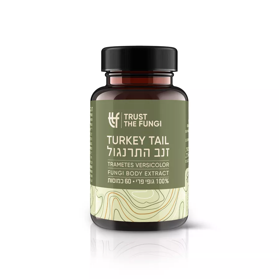 פטריית זנב התרנגול TRUST THE FUNGI