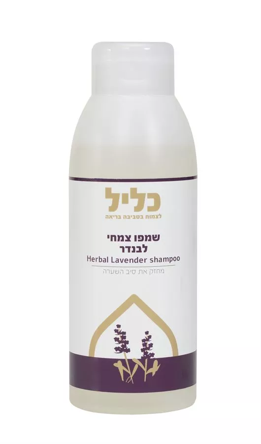 שמפו צמחי בריח לבנדר כליל 500 מ