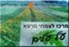 חליטת צמחים סטביה על עלים 50 גרם  Stevia כליל הטבע