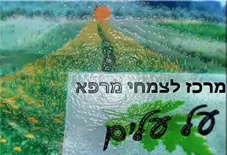 שינן (שן ארי) שורש גרוס - על עלים כליל הטבע