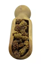 תות עץ לבן טבעי מיובש 100 גרם Natural Dried White Mulberry כליל הטבע