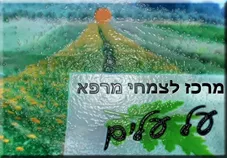 רוזמרין 50 גרם על עלים כליל הטבע