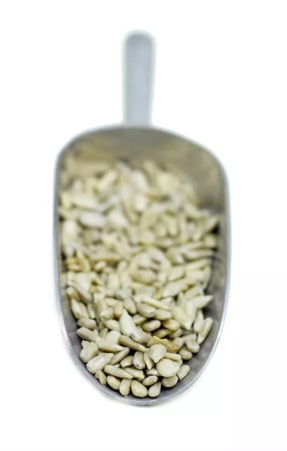 גרעיני חמניה טבעיים קלופים 100 גרם   Peeled Natural Sunflower Seeds