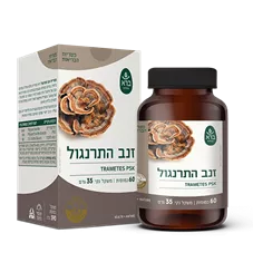 זנב התרנגול טרמטס | ברא | Trametes versicolor כליל הטבע
