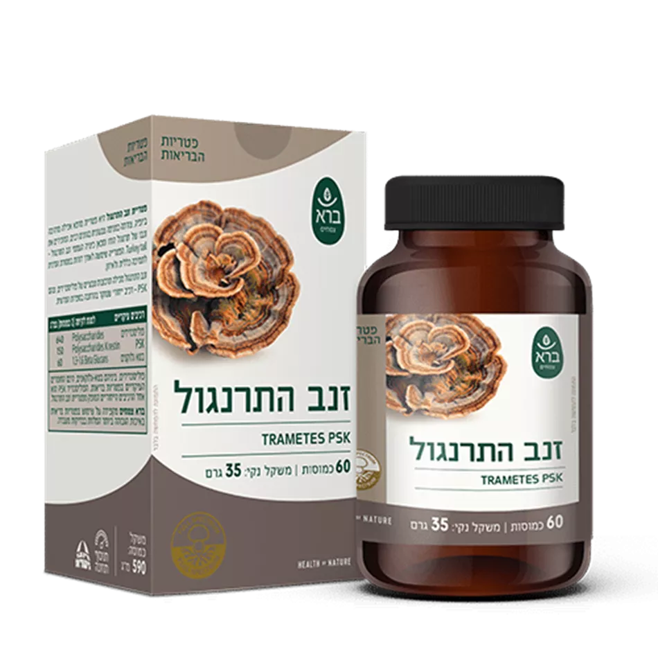 זנב התרנגול טרמטס | ברא | Trametes versicolor
