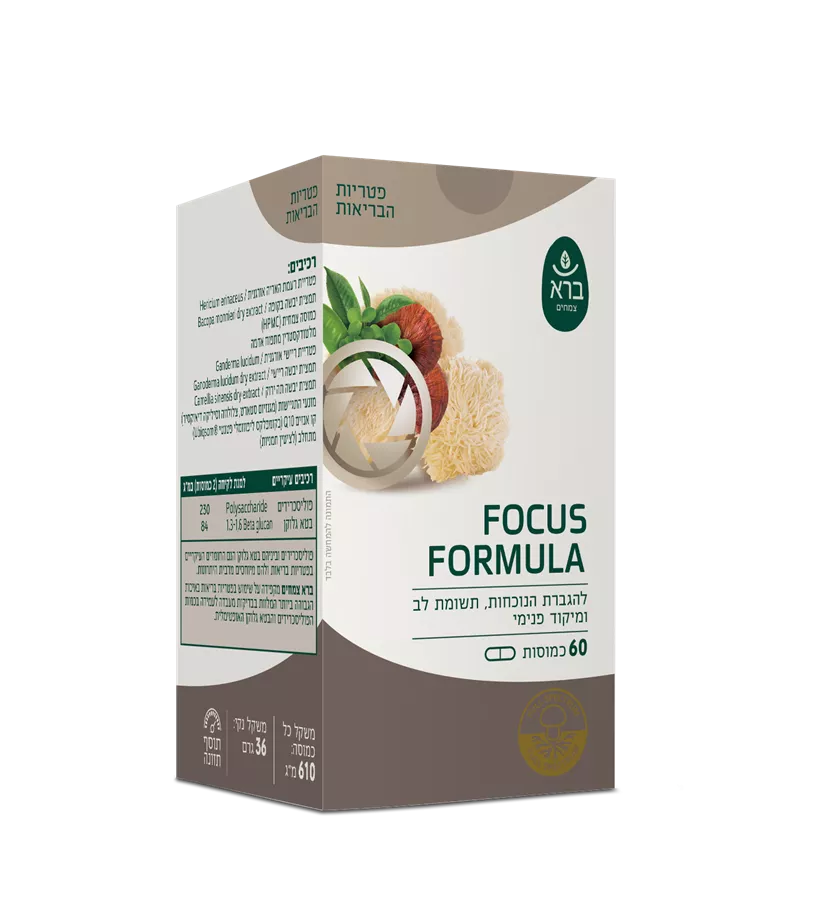 פוקוס פורמולה ברא  FOCUS FORMULA BARA