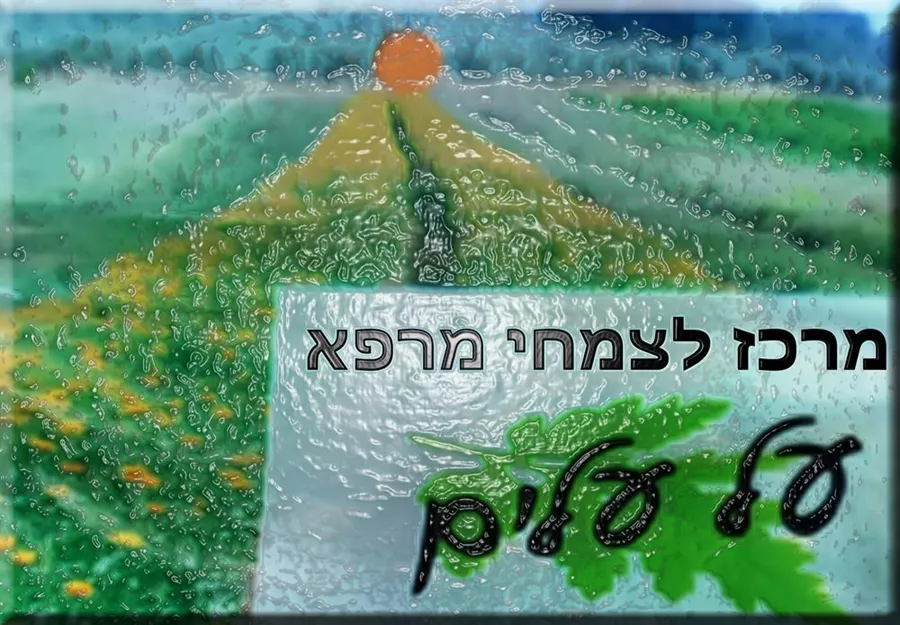 על עלים טיון השמש - שורש גרוס 50 גרם Inula Helenium