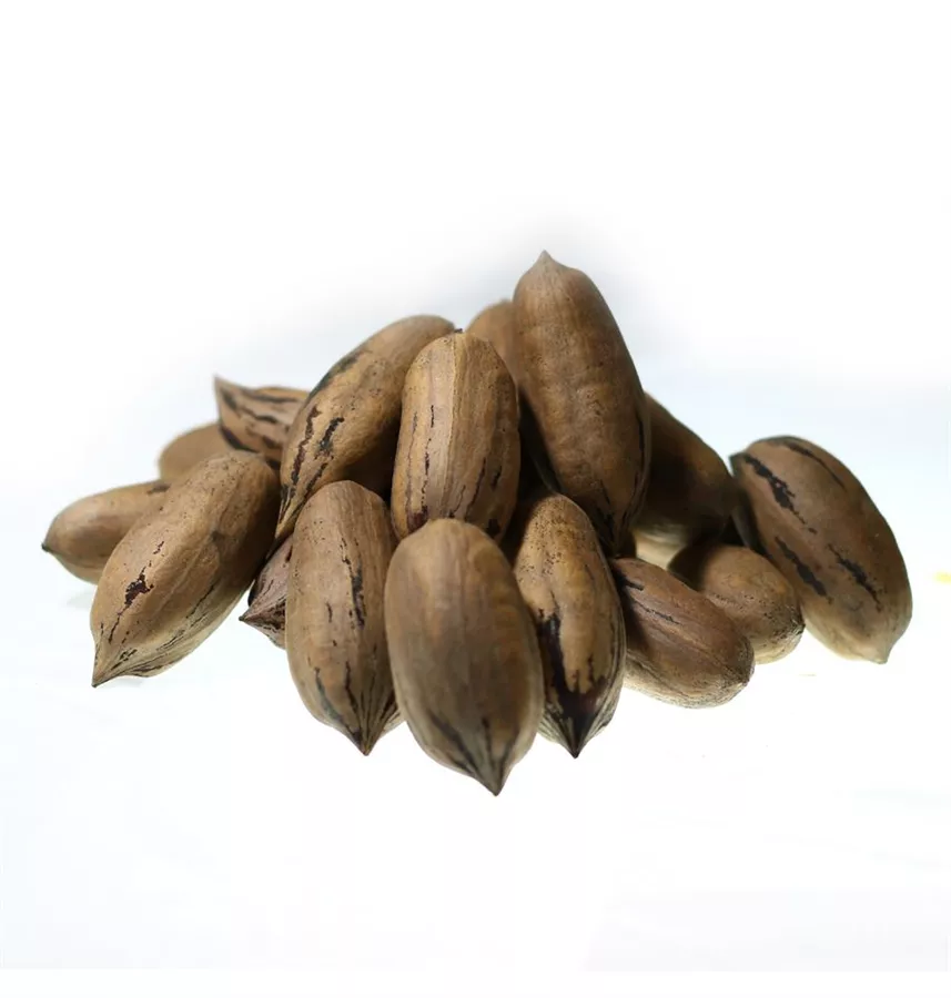 פקאן טבעי עם קליפה 100 גרם    Natural Pecan in Shell