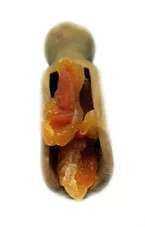 מלון טבעי מיובש 100 גרם   Natural Dried Melon כליל הטבע