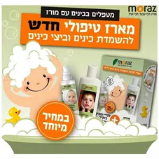 מארז לטיפול והשמדת כינים וביצי כינים מורז Moraz כליל הטבע