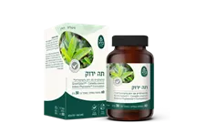 כמוסות תה ירוק פיטוזום ברא כליל הטבע