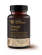 פטריית צ'אגה  TRUST THE FUNGI כליל הטבע