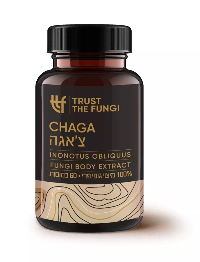 פטריית צ'אגה  TRUST THE FUNGI