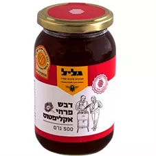 דבש פרחי אקליפטוס גליל 500 גרם Galil כליל הטבע