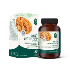 בוסווליה - שרף לבונה פיטוזומלי  | ברא צמחים כליל הטבע