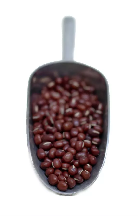 שעועית אזוקי בתפזורת