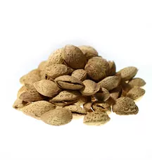 שקד טבעי עם קליפה 100 גרם  Almond in Shell כליל הטבע
