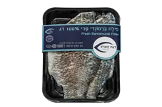 פילה ברמונדי | דגת הארץ כליל הטבע