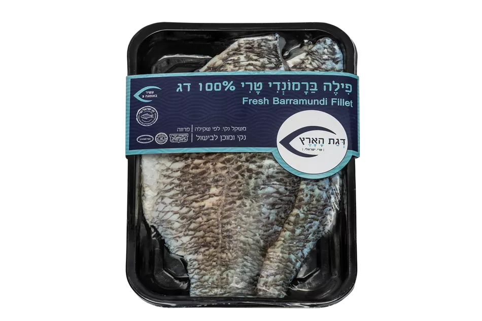 פילה ברמונדי | דגת הארץ