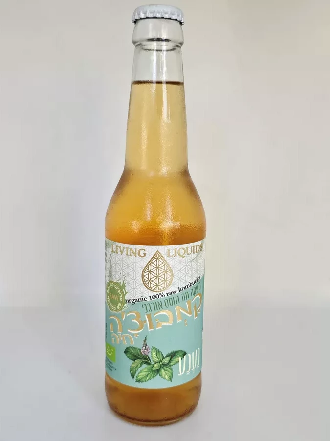 משקה קמבוצ'ה תוסס אורגני טבעי עם נענע LIVING LIQUIDS