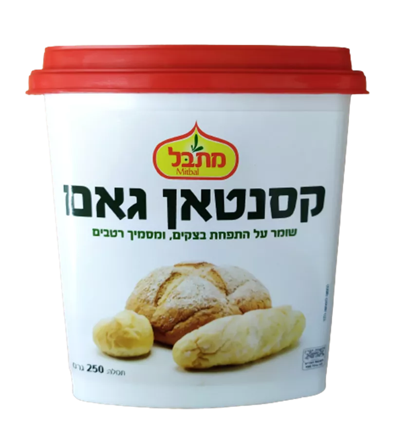 קסנטאן גאם - מתבל