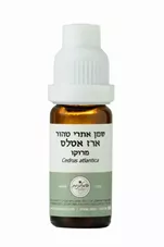 המילניום - שמן אתרי ארז אטלס טהור HAMILENIUM PURE כליל הטבע