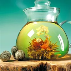 פקעת תה ירוק בטעם וניל טיי שייפ 9 גרם Tea Shape כליל הטבע