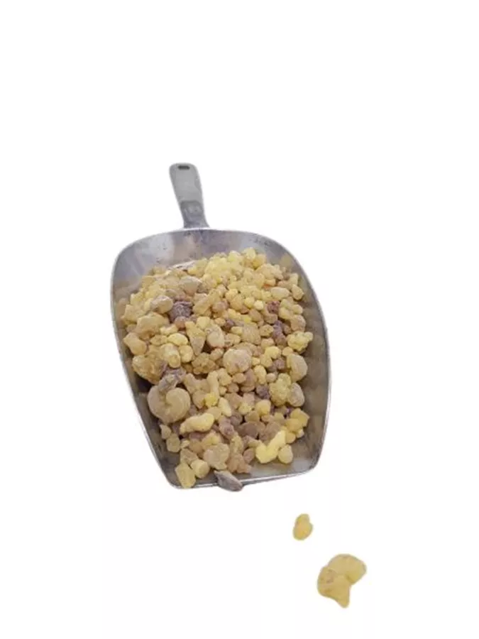 שרף לבונה (לובאן) קטן אתיופי