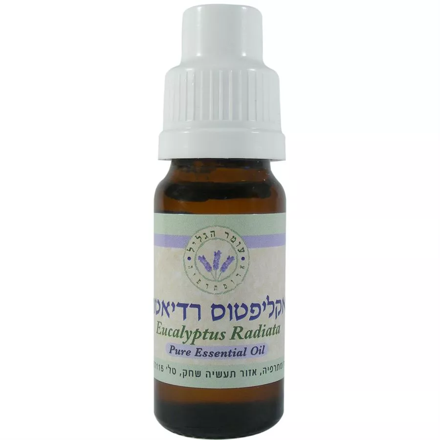 אקליפטוס רדיאטה שמן אתרי - עומר הגליל  10 מ