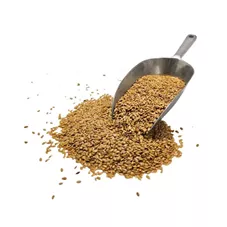 זרעי פשתן זהב טבעיים 100 גרם   Natural Flax Seeds כליל הטבע