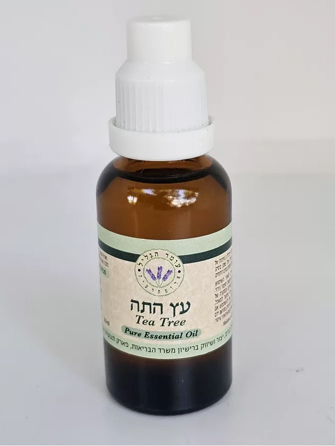עץ התה שמן אתרי - עומר הגליל  30 מ