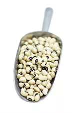 שעועית לוביה בתפזורת כליל הטבע