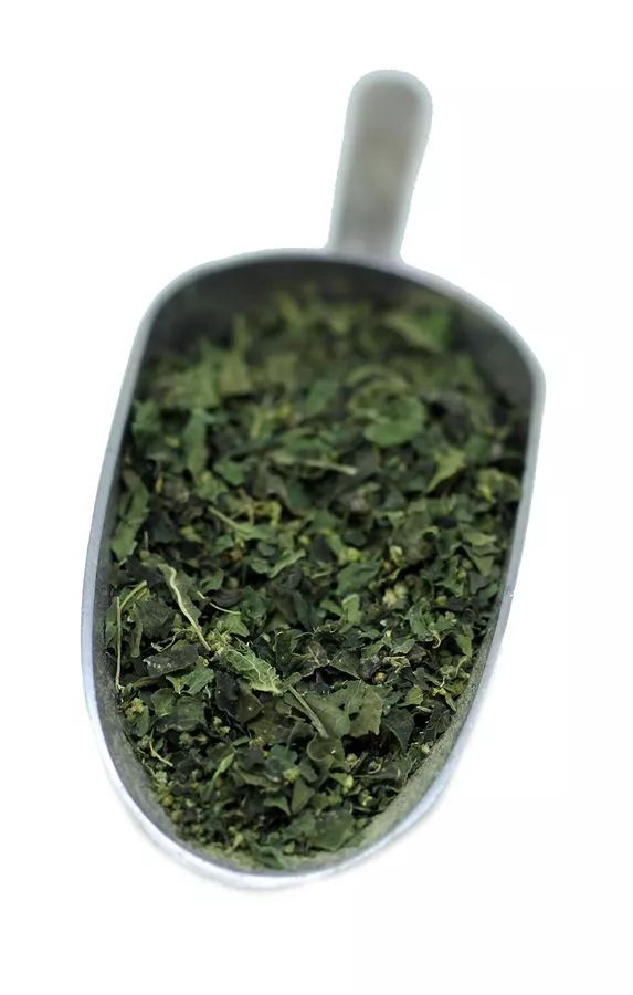 חליטת סרפד על עלים - Urtica dioica folium