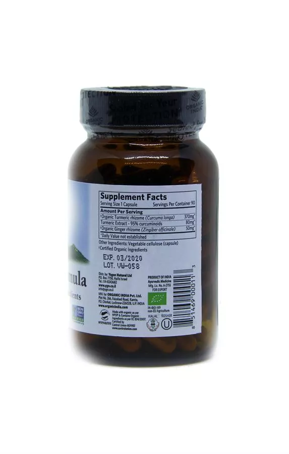 כורכום עם ג'ינג'ר י.ג.נ 90 קפסולות YGN Turmeric Formula