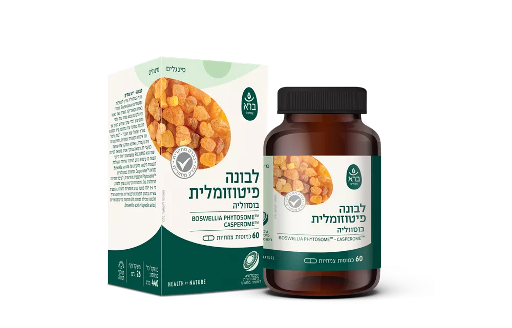 שרף לבונה פיטוזומלי ברא צמחים  Boswellia Serrata