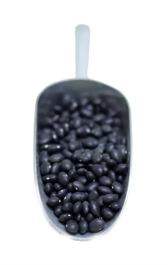 שעועית שחורה בתפזורת