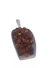 גולדן ברי Golden Berry כליל הטבע