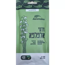 ג’ינסנג פאנקס – תמצית ג’ינסנג קוריאני (Panax ginseng) 50 מ״ל | ברא צמחים כליל הטבע