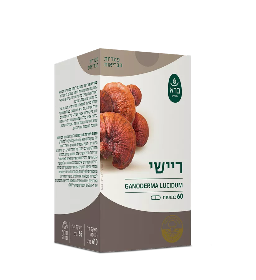 ריישי ברא  Ganoderma Lucidum BARA