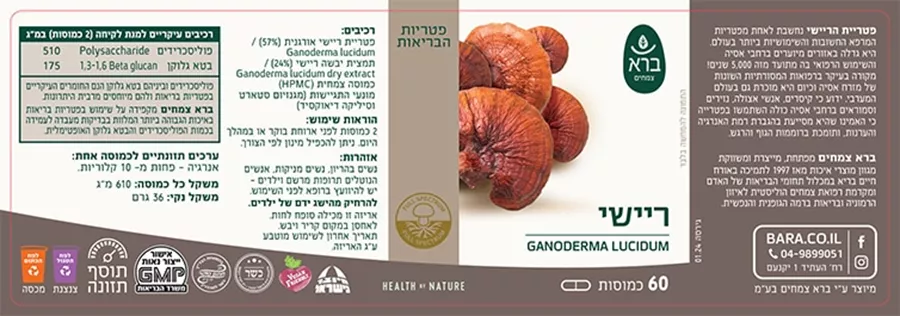 ריישי ברא  Ganoderma Lucidum BARA