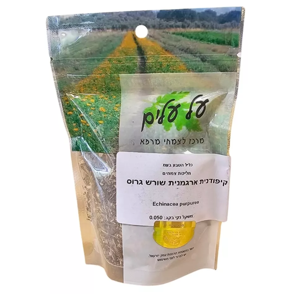 שורש אכינציאה | קיפודנית ארגמנית | על עלים